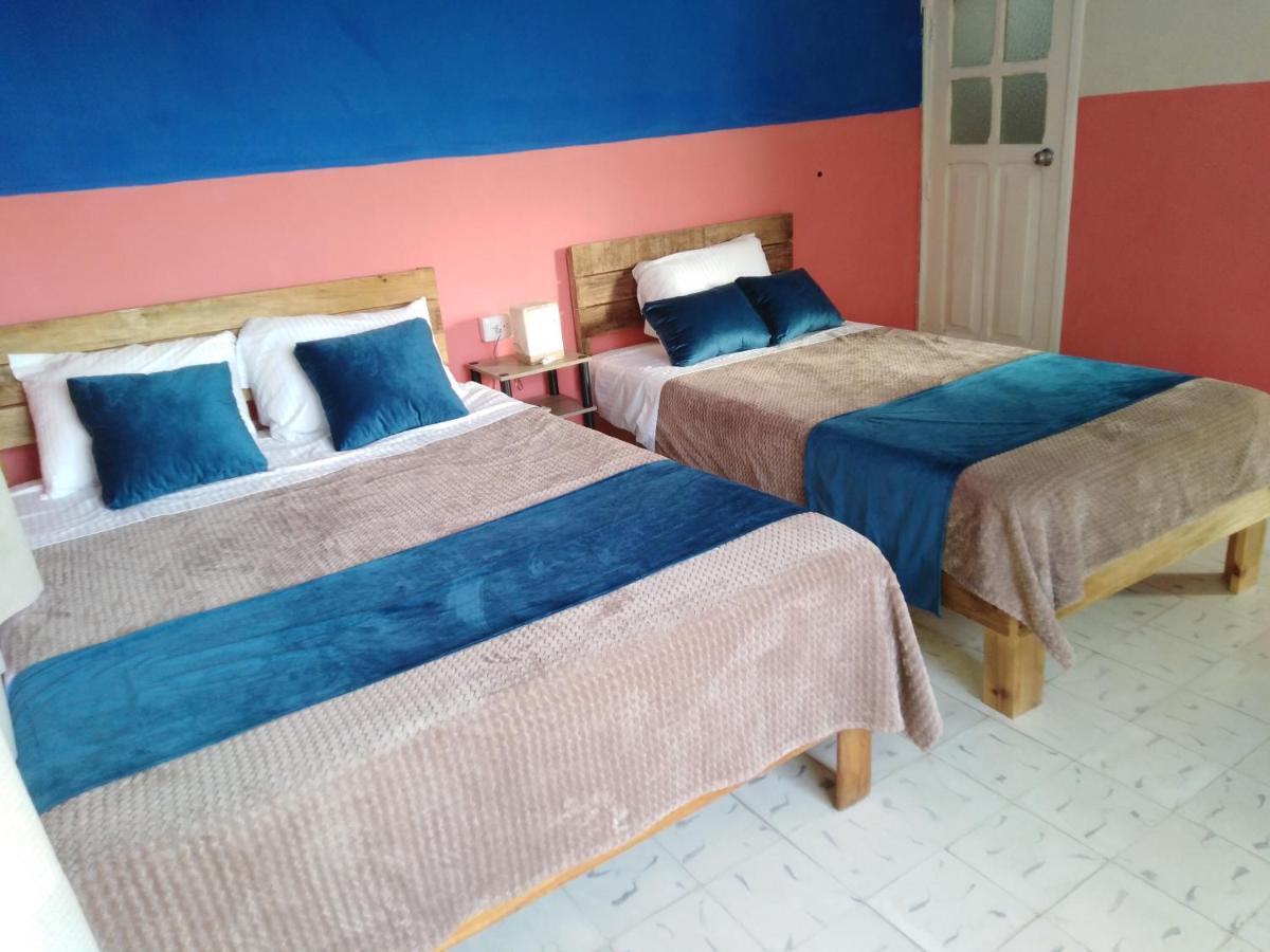 Casa Lool Beh Bed & Breakfast Merida Exterior photo